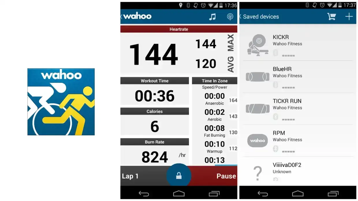 Wahoo-fitness_vk.webp