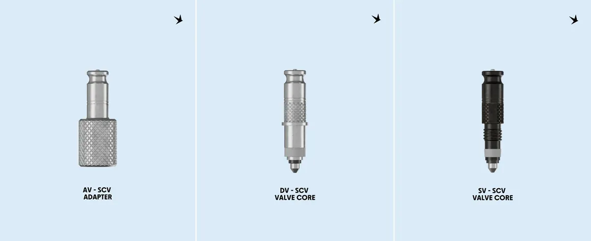 schrader-presta-dunlop_vk.webp