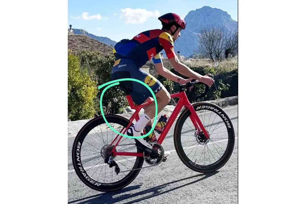 giullio-trek-bicycle.webp